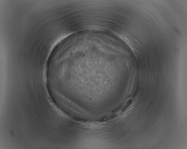 X0000116550987200912241552