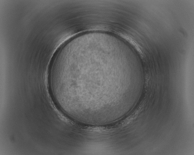 X0000116550991200912241552