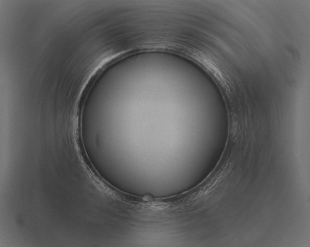 X0000116550992200912241552