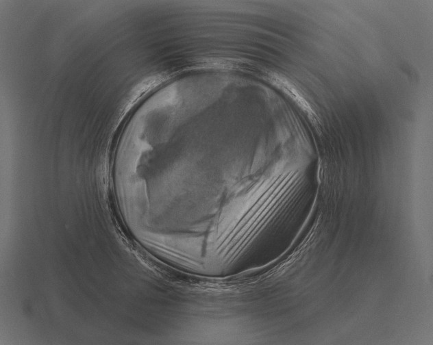 X0000116550994200912241552