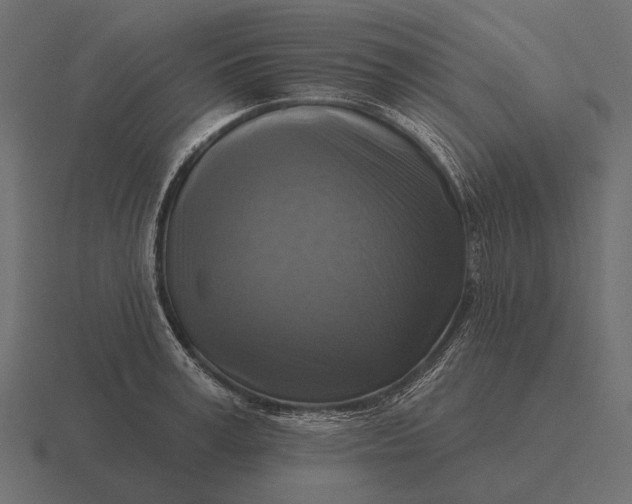 X0000116550995200912241552