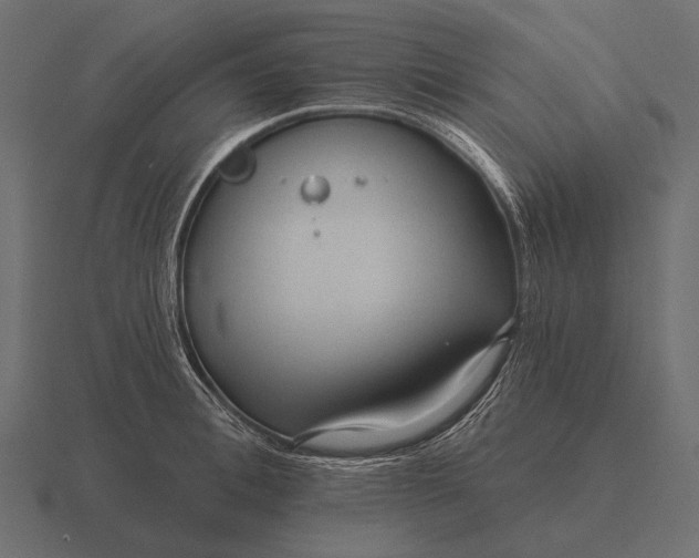 X0000116550996200912241552