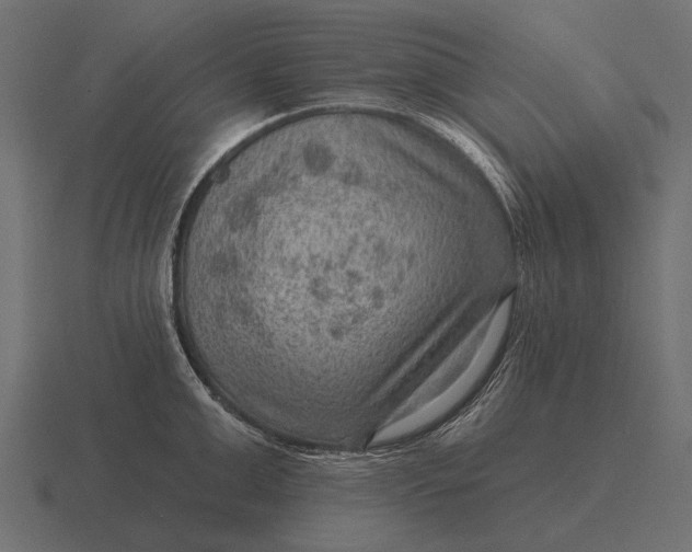 X0000116550999200912241552