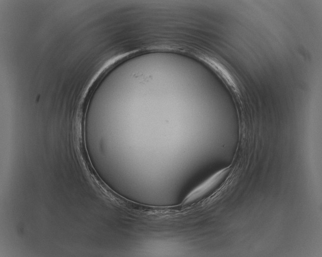 X0000116551000200912241552