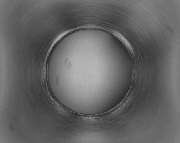 X0000116551004200912241552