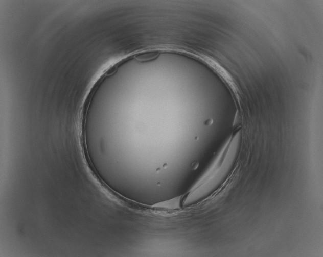 X0000116551005200912241552