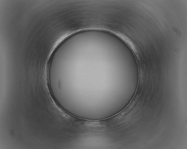 X0000116551006200912241552