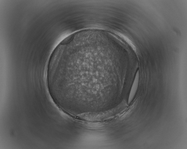 X0000116551007200912241552