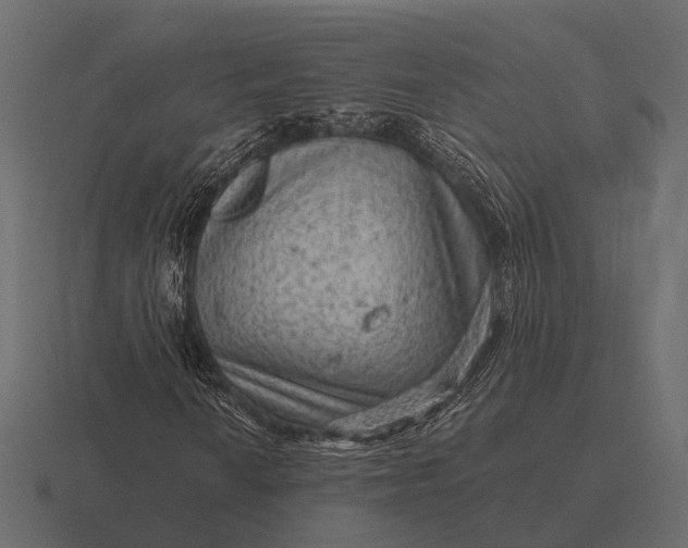 X0000116551010200912241551