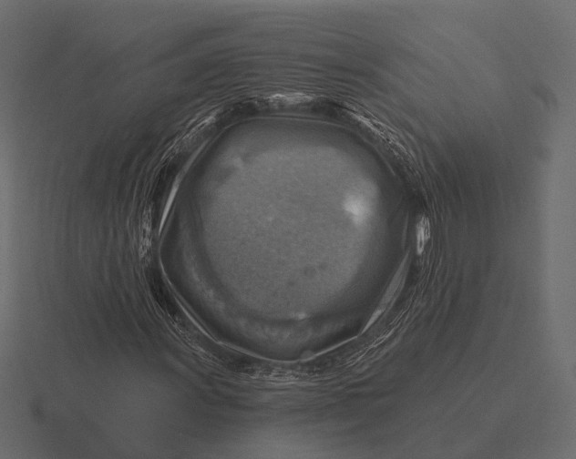 X0000116551011200912241551