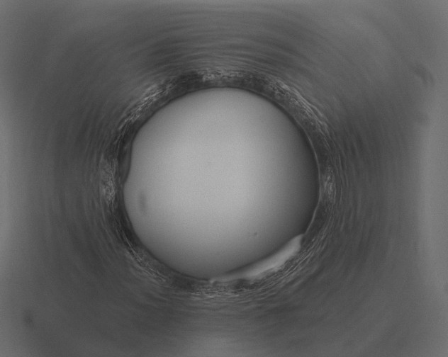 X0000116551012200912241551