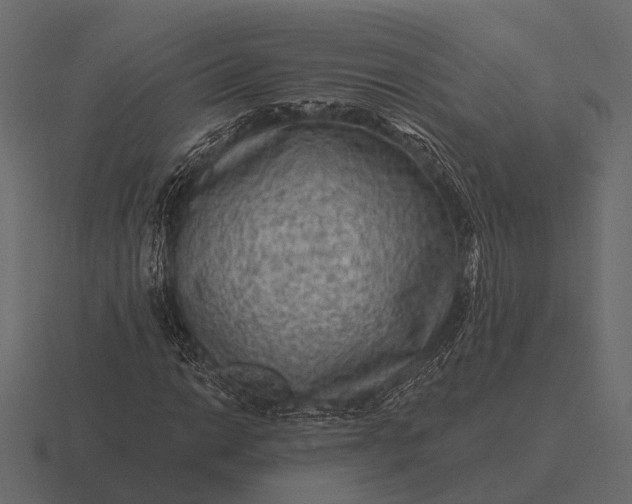 X0000116551014200912241551