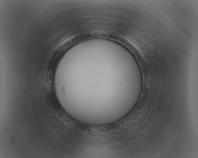 X0000116551015200912241551