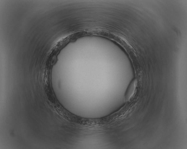 X0000116551016200912241551