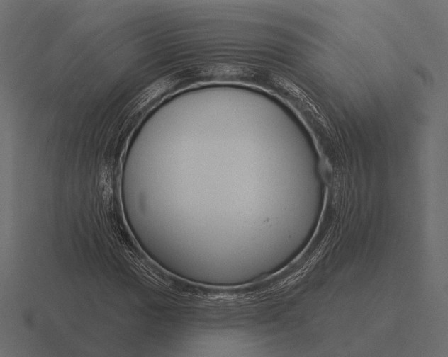 X0000116551017200912241551