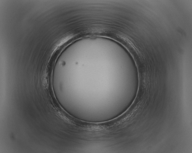 X0000116551018200912241551