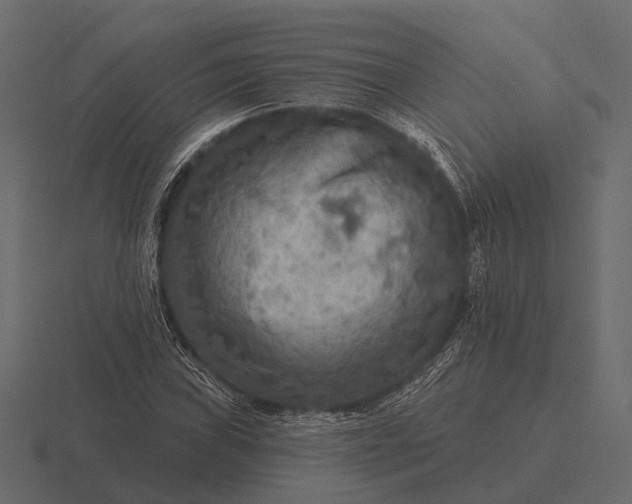 X0000116551019200912241551