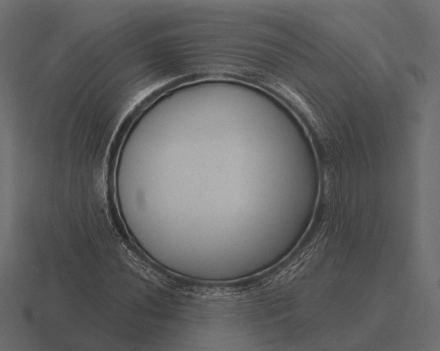 X0000116551020200912241551