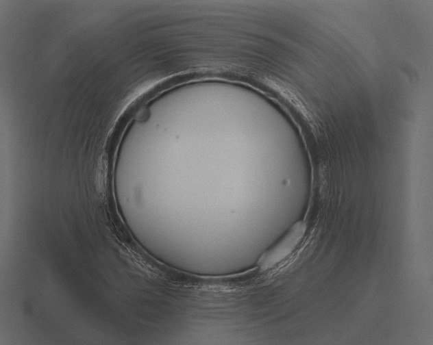 X0000116551021200912241551