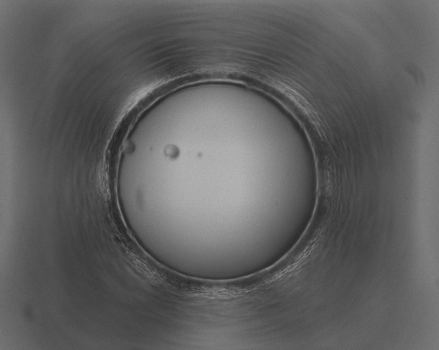 X0000116551022200912241551