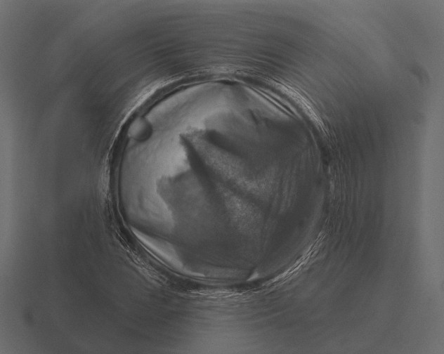 X0000116551023200912241551