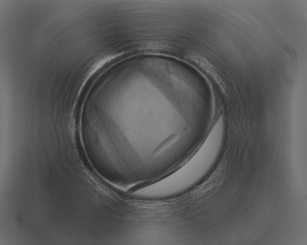 X0000116551024200912241551