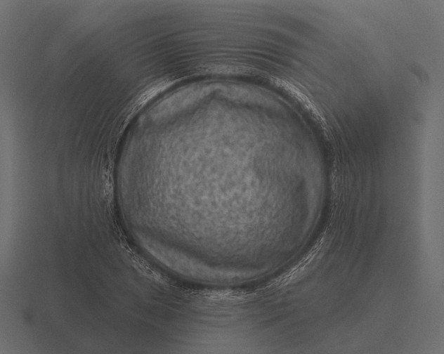 X0000116551025200912241551