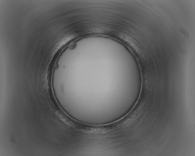 X0000116551026200912241551