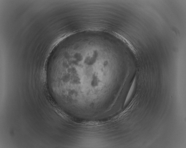 X0000116551027200912241551