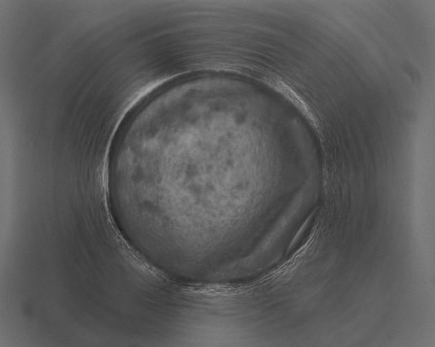 X0000116551028200912241551