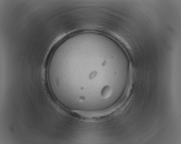 X0000116551029200912241551