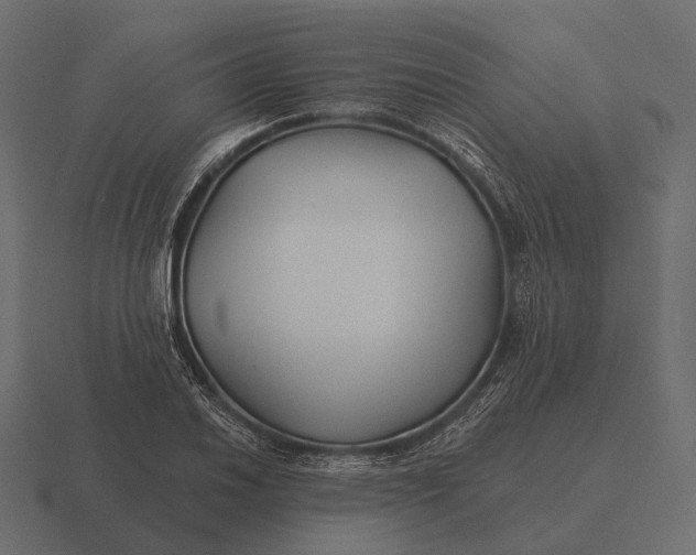 X0000116551030200912241551