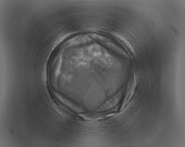 X0000116551031200912241551