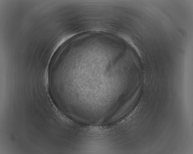 X0000116551032200912241551