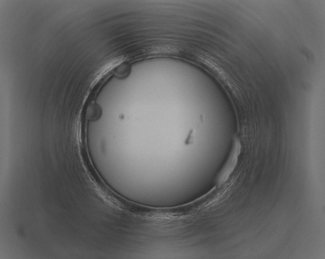 X0000116551034200912241551