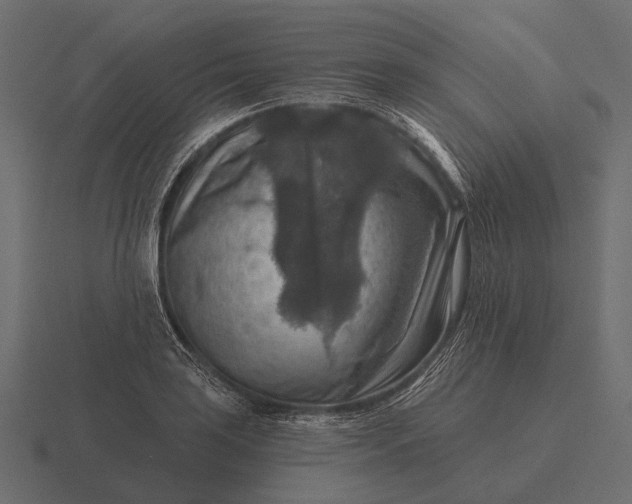 X0000116551035200912241551