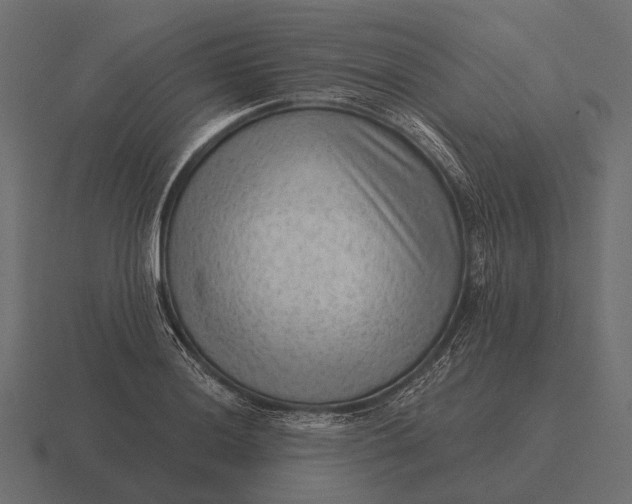 X0000116551036200912241551