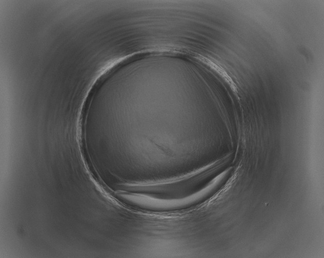 X0000116551037200912241551