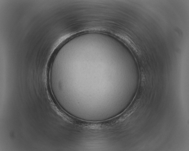 X0000116551038200912241551