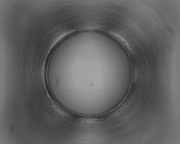 X0000116551039200912241551