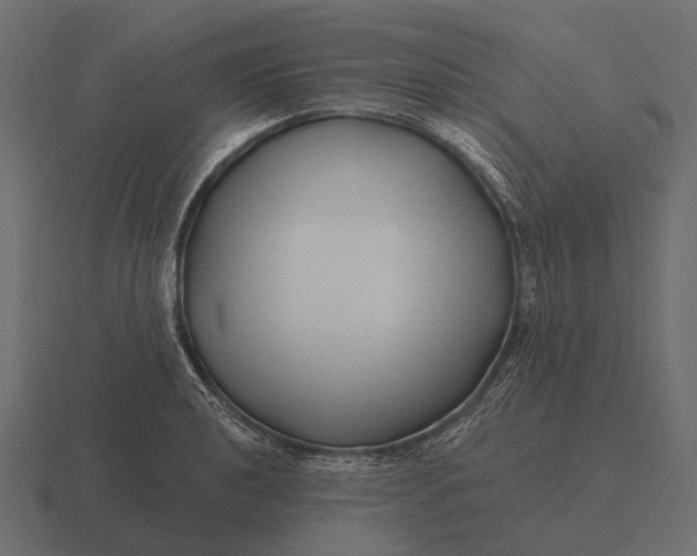 X0000116551040200912241551