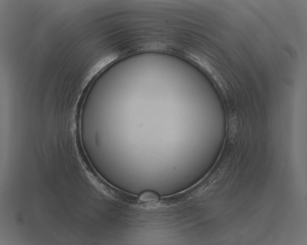 X0000116551042200912241551