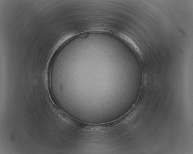 X0000116551043200912241551