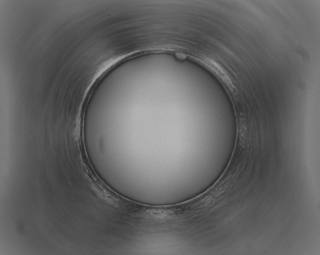 X0000116551044200912241551