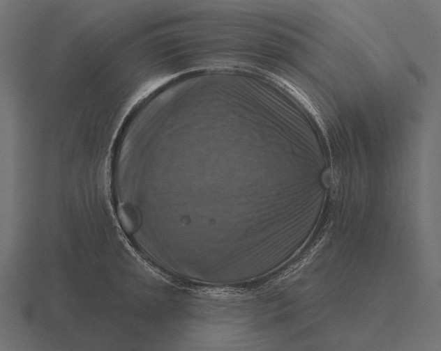 X0000116551045200912241551