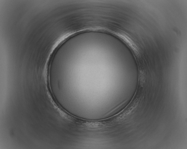 X0000116551046200912241551