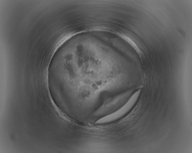 X0000116551047200912241551