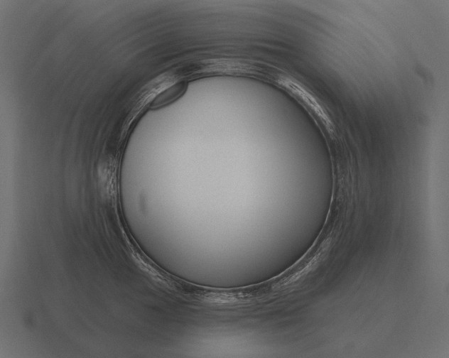 X0000116551049200912241551