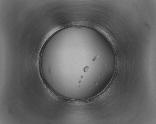 X0000116551050200912241551