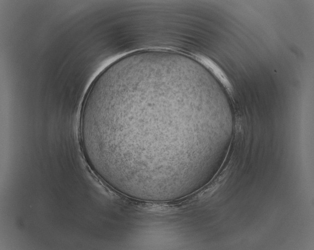 X0000116551052200912241551